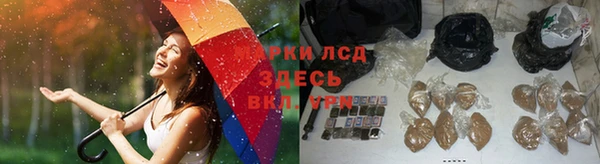 прущие грибы Алзамай