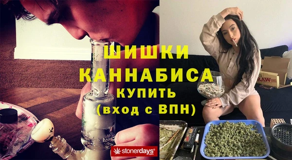 прущие грибы Алзамай