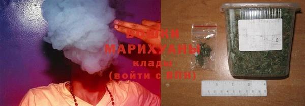 PSILOCYBIN Гусь-Хрустальный