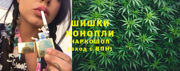 прущие грибы Алзамай