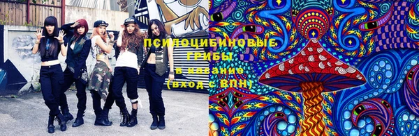 дмт Абинск